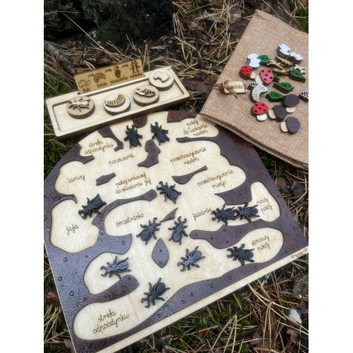 Drewniane Mrowisko (małe )– Edukacyjna Przygoda w Świecie Mrówek! (zestaw malowany)